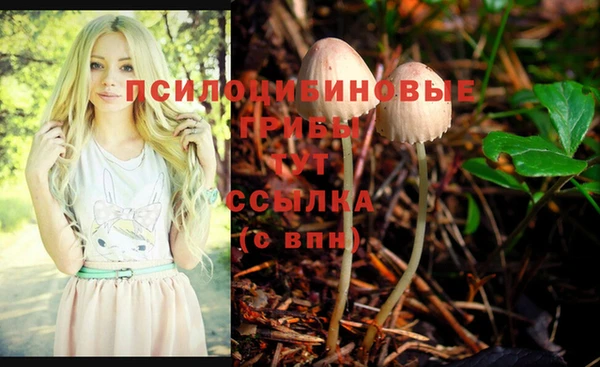 а пвп мука Ельня