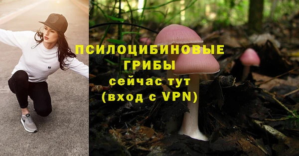 а пвп мука Ельня