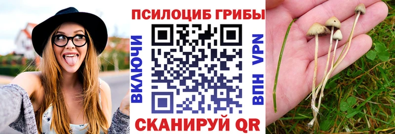 Галлюциногенные грибы прущие грибы  Дзержинск 